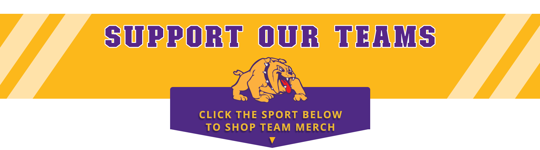 Support our teams. Click the sport below to shop team merch 