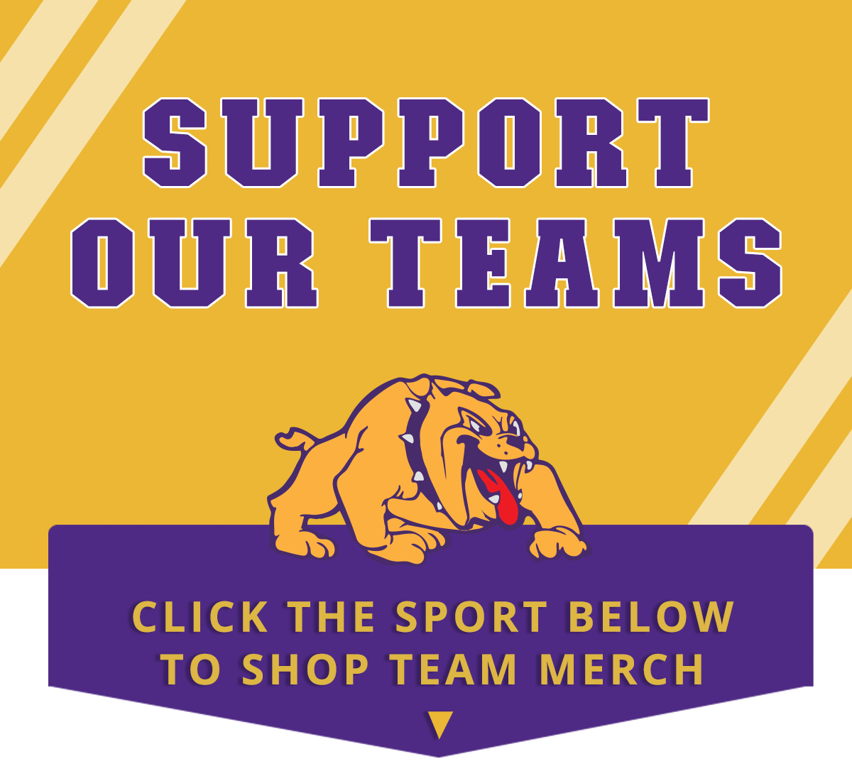Support our teams. Click the sport below to shop team merch 